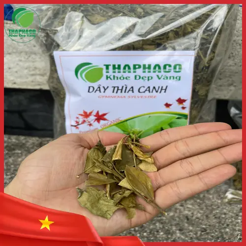 Cách pha trà Dây Thìa Canh sấy khô THAPHACO