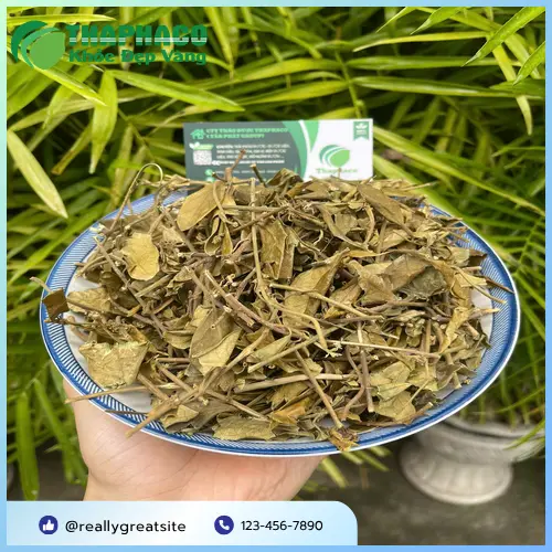 Trà Dây Thìa Canh đã pha sẵn để uống