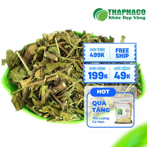 Sử dụng Dây Thìa Canh đúng cách và an toàn
