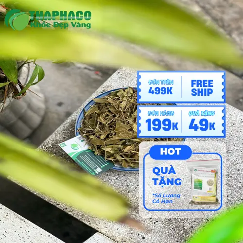 THAPHACO địa chỉ cung cấp Dây Thìa Canh uy tín tại TP.HCM