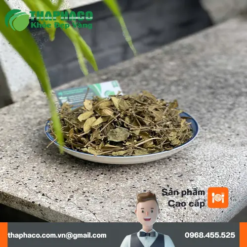 Dây Thìa Canh sấy khô THAPHACO với các quy cách đóng gói