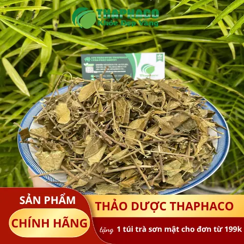 Mua Dây Thìa Canh chất lượng tại THAPHACO