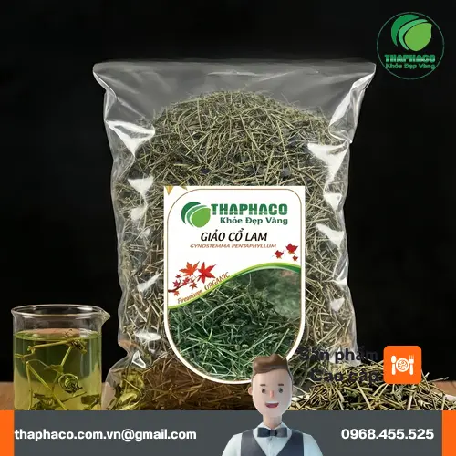 Giảo cổ lam khô THAPHACO chất lượng cao