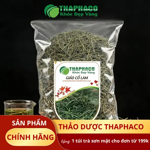Giảo Cổ Lam là gì và những công dụng hỗ trợ sức khỏe
