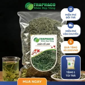 Giá Giảo Cổ Lam Khô 1kg Tại TP.HCM & Địa Chỉ Mua Uy Tín