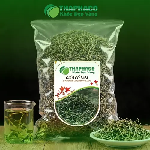 Giảo cổ lam là gì
