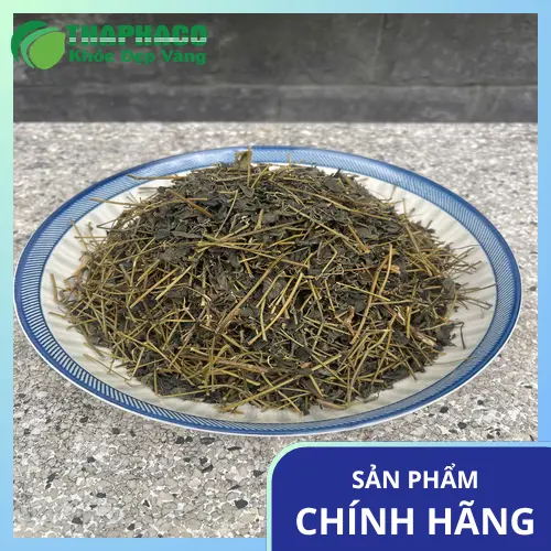 Hình ảnh cây Giảo Cổ Lam tự nhiên