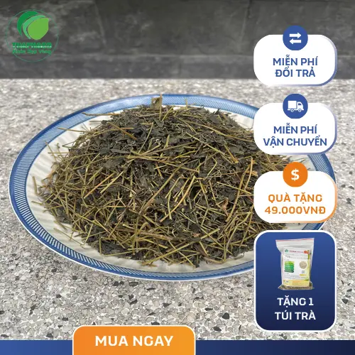 Người huyết áp thấp cần thận trọng với Giảo Cổ Lam