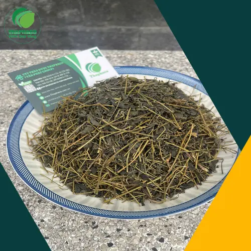 Công dụng của Giảo Cổ Lam hỗ trợ ổn định huyết áp