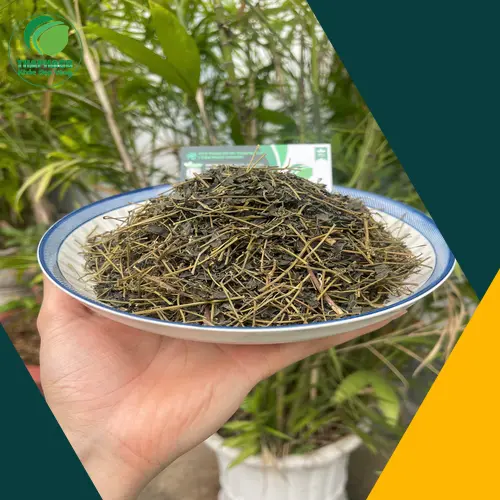 Trà Giảo Cổ Lam hỗ trợ gan
