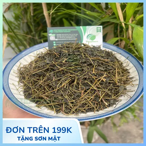 Quy trình sản xuất giảo cổ lam khô tại THAPHACO