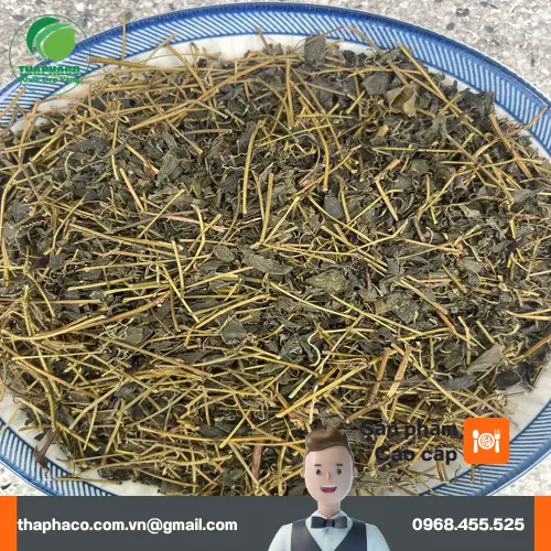 Cách dùng trà giảo cổ lam đúng chuẩn