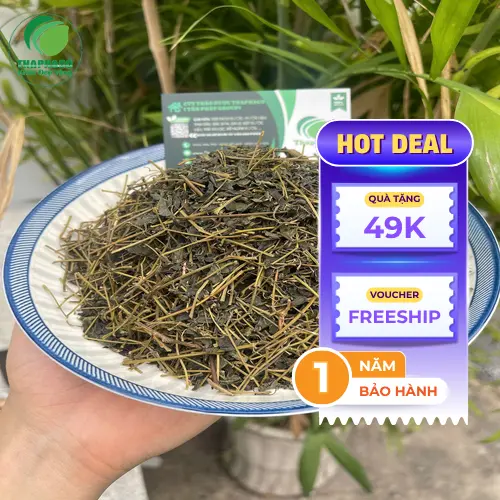 Hướng dẫn pha trà giảo cổ lam khô