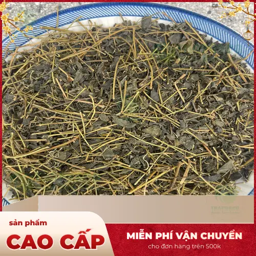 Lưu ý khi sử dụng Giảo Cổ Lam an toàn