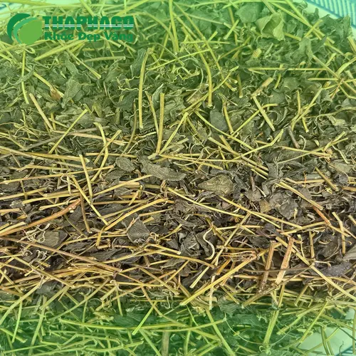 Cách dùng Giảo Cổ Lam dạng trà pha nước