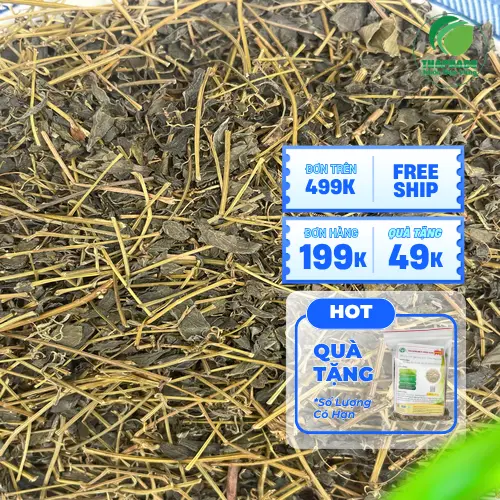Giảo cổ lam chất lượng tại THAPHACO