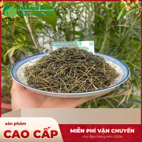 Lưu ý khi sử dụng Giảo Cổ Lam để đảm bảo an toàn