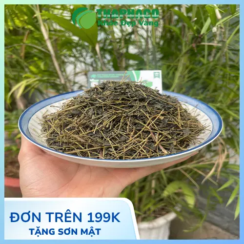 Tác dụng phụ của Giảo Cổ Lam và khi nào cần gặp bác sĩ
