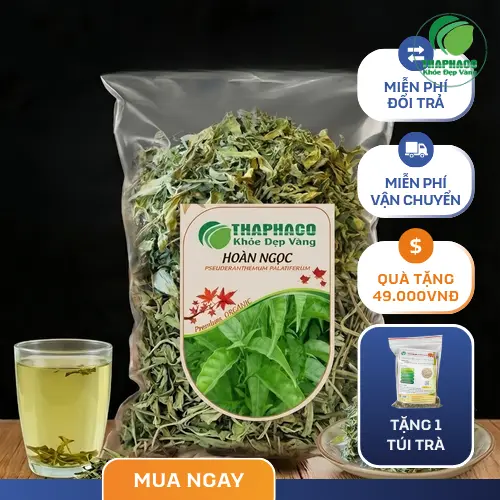 Lá Hoàn Ngọc tươi xanh