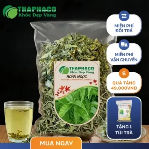 Địa Chỉ Bán Lá Hoàn Ngọc Khô Tại TP.HCM Uy Tín, Giá Tốt