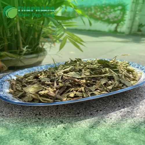 Trà lá Hoàn Ngọc hỗ trợ sức khỏe