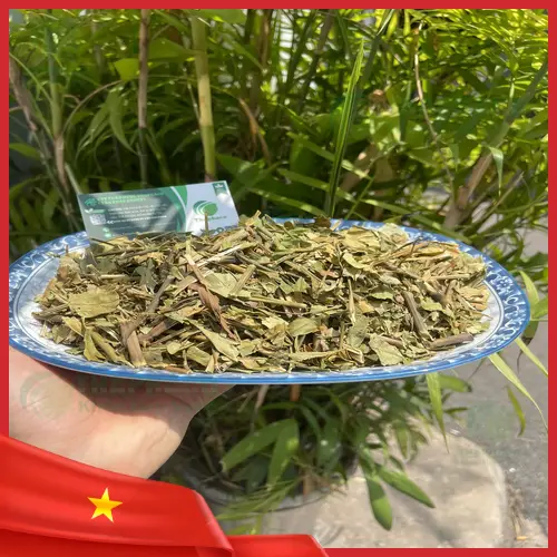 Lá Hoàn Ngọc đã sấy khô