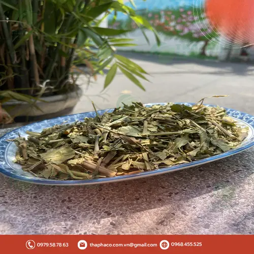 Cách dùng Lá Hoàn Ngọc Khô
