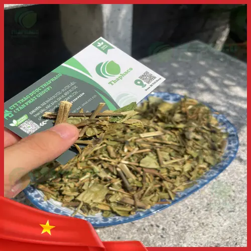 So sánh đặc điểm thân và cành của Hoàn Ngọc Trắng và Đỏ