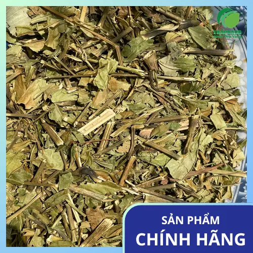 Cách pha trà Hoàn Ngọc đúng cách