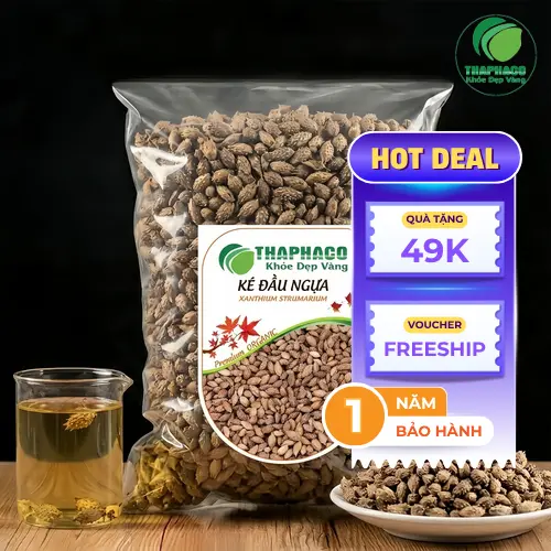Ké Đầu Ngựa là gì và hình dáng quả ké