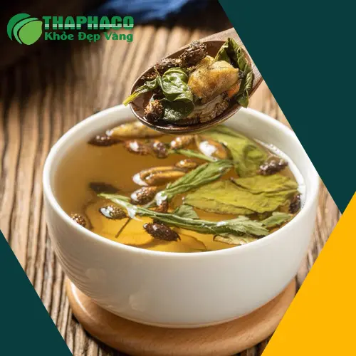 Công dụng hỗ trợ sức khỏe của Ké Đầu Ngựa