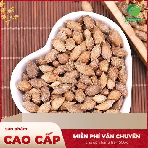Phụ nữ mang thai không nên tự ý dùng thảo dược