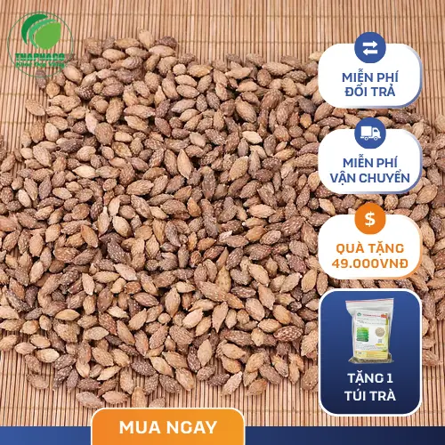 Cách dùng ké đầu ngựa khô
