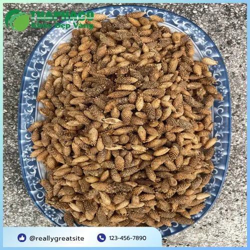 Mẹ bầu và em bé sơ sinh khỏe mạnh