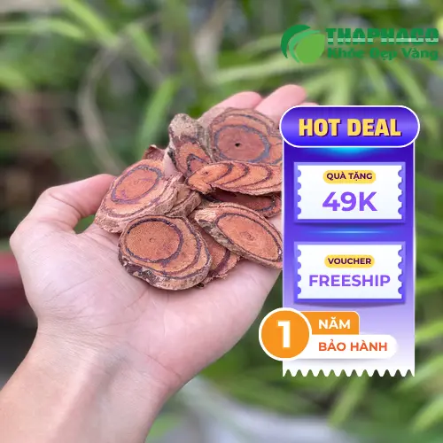 Lát cắt Kê Huyết Đằng sấy khô đều đẹp