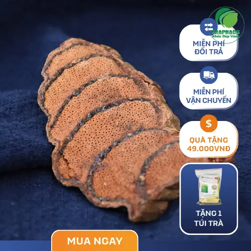 Công dụng hỗ trợ của Kê Huyết Đằng