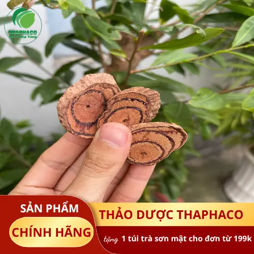 Kê Huyết Đằng sấy khô đóng gói tiện lợi