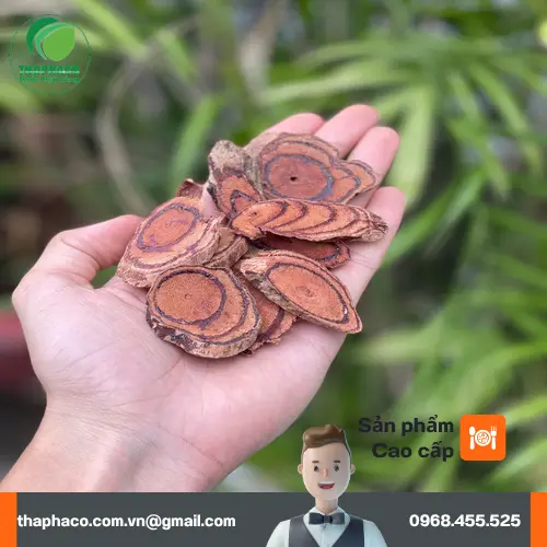 Sản phẩm Kê Huyết Đằng chất lượng tại THAPHACO