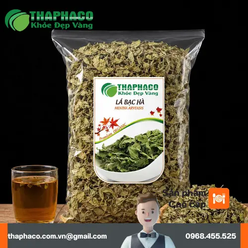 Lá bạc hà tươi xanh