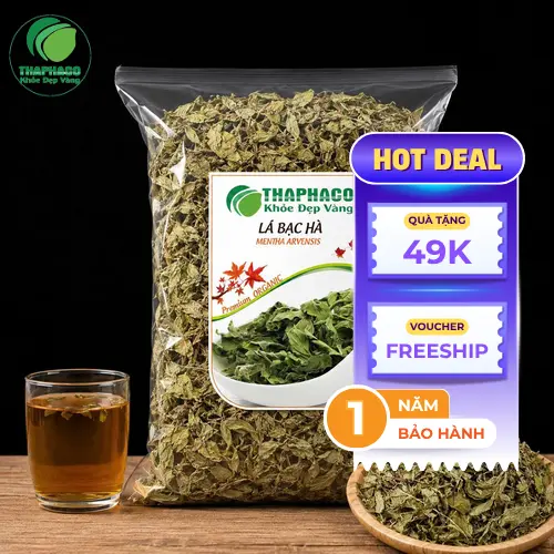 Lá bạc hà tươi xanh