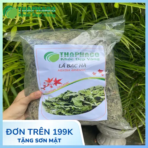 Hình ảnh các đối tượng cần thận trọng khi dùng trà bạc hà