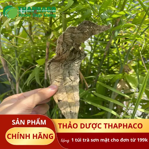 Dụng cụ bảo quản lá khôi tía khô