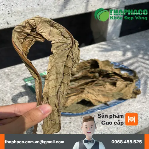 Quy trình kiểm soát chất lượng tại THAPHACO