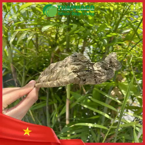 Mua Lá Khôi Tía Khô tại THAPHACO