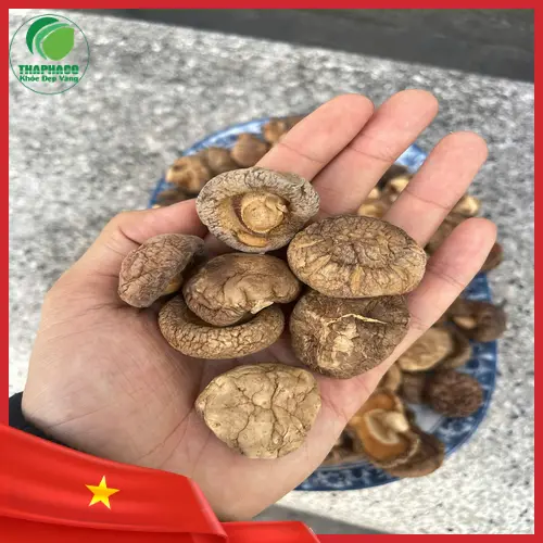 Nấm đông cô tươi và khô, thực phẩm giàu dinh dưỡng