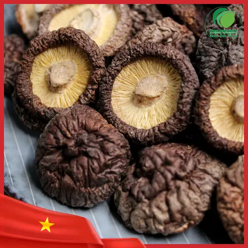 Thành phần dinh dưỡng nấm đông cô