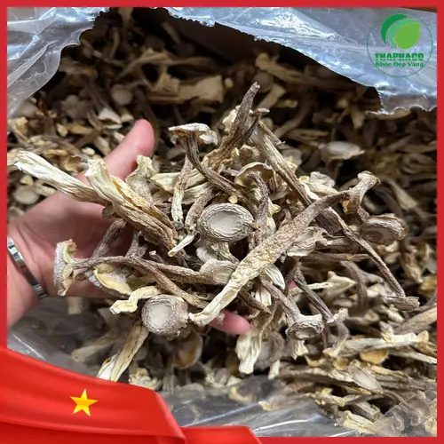 Nấm lộc nhung tươi có hình dáng đặc trưng
