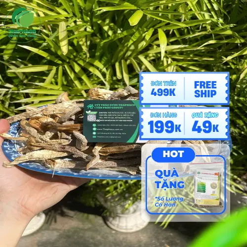 Sơ chế nấm lộc nhung tươi