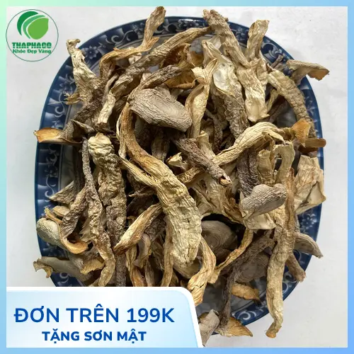 Nấm lộc nhung tươi chất lượng cao tại THAPHACO