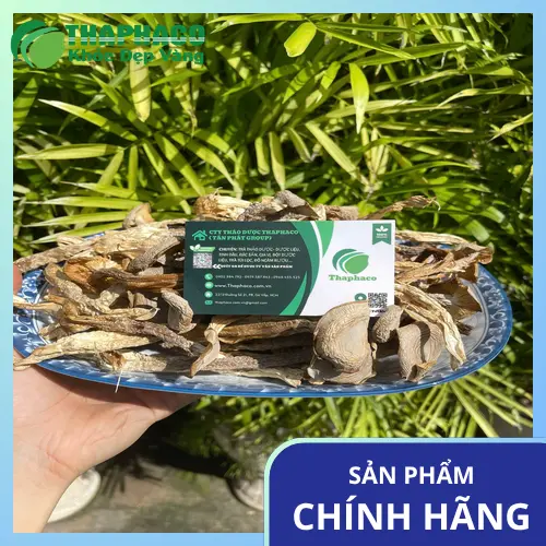 Nấm lộc nhung giàu dinh dưỡng cho người ăn chay
